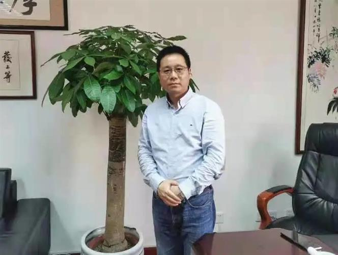 图像 图像